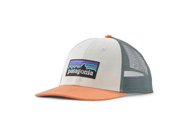 Patagonia P-6 Logo LoPro Trucker Hat
